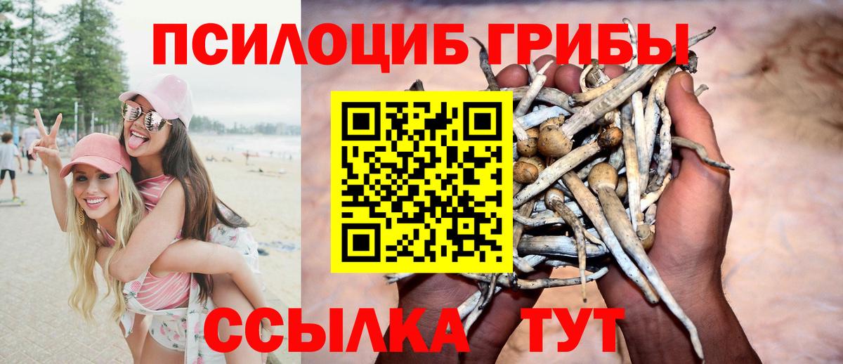 Солнечногорск  Псилоцибиновые грибы Magic Shrooms  Вход с VPN 